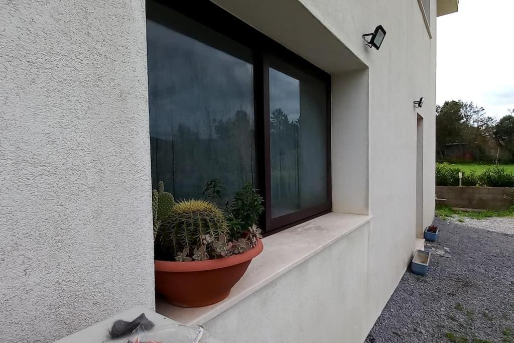 Apartament Casa Di Ale,Gabry E Nina Iglesias Zewnętrze zdjęcie